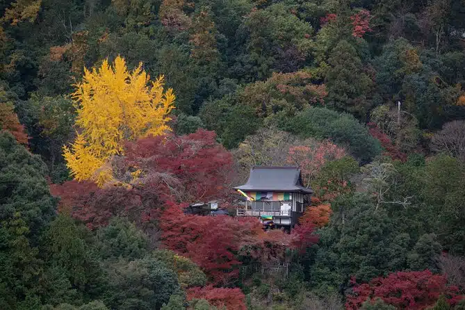 aa