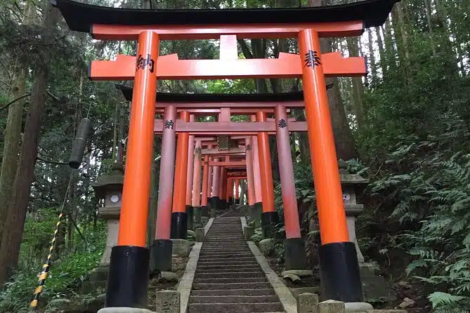 bd